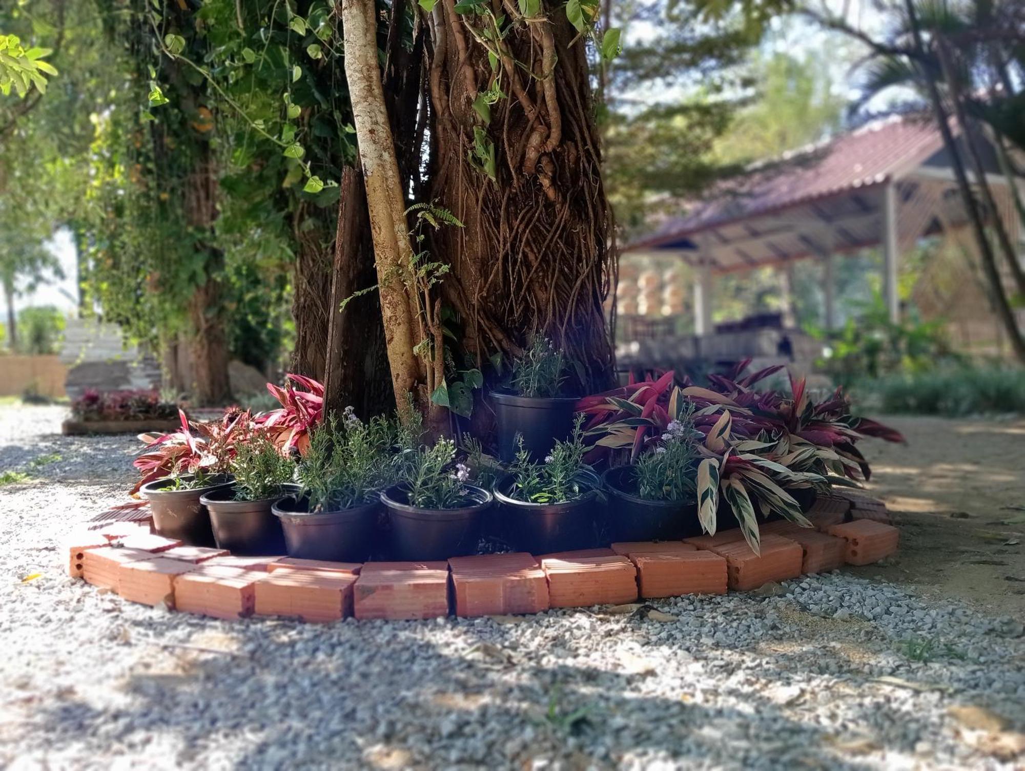 Vangvieng Ruby'Homestay Vang Vieng Dış mekan fotoğraf