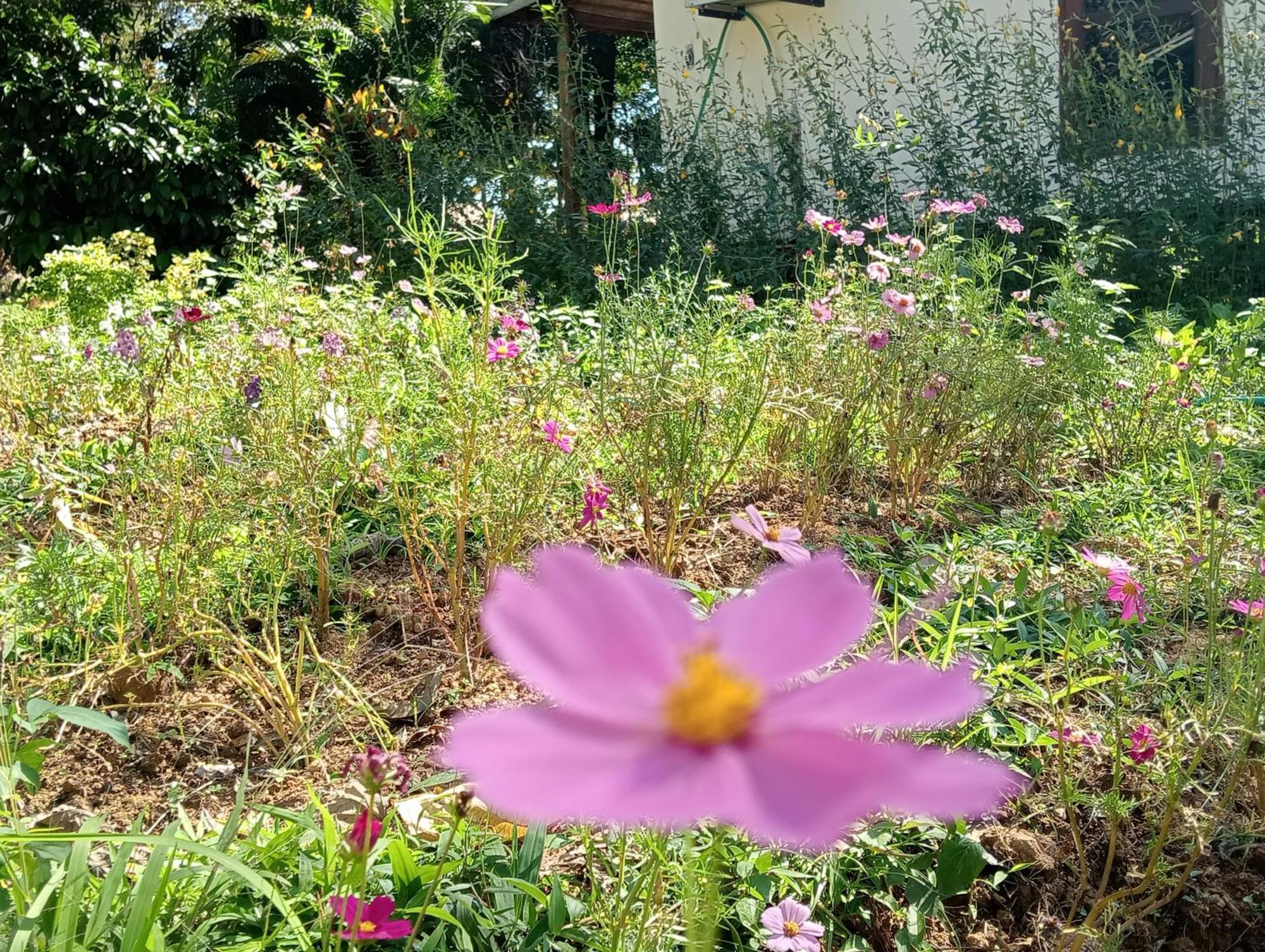 Vangvieng Ruby'Homestay Vang Vieng Dış mekan fotoğraf