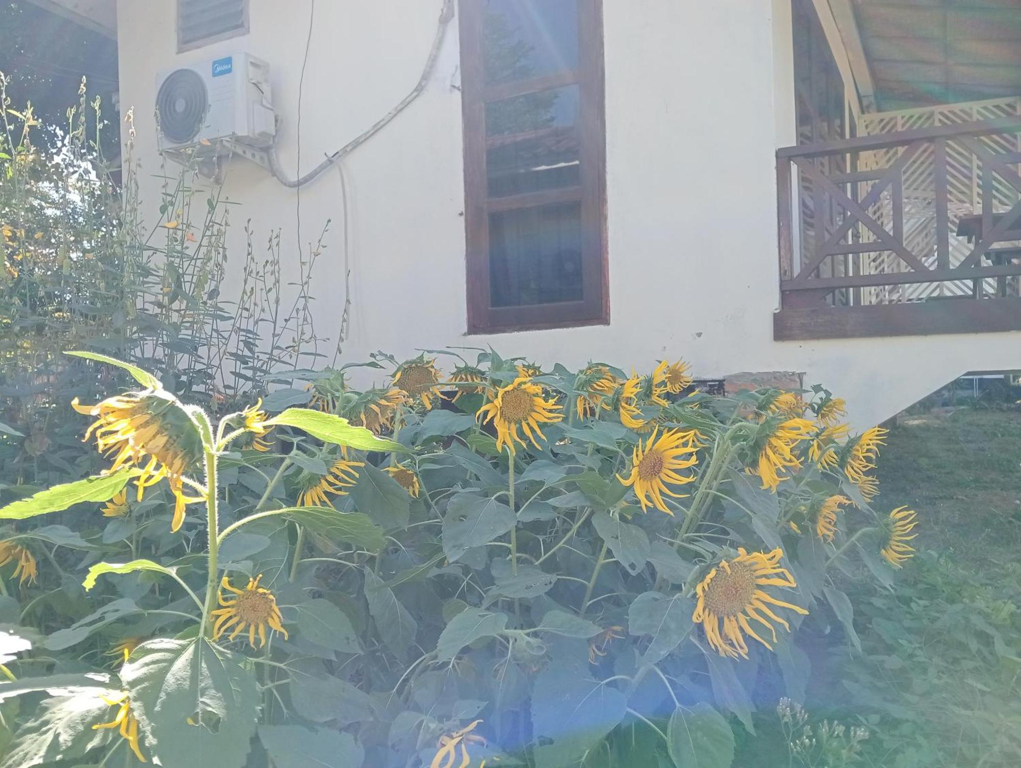 Vangvieng Ruby'Homestay Vang Vieng Dış mekan fotoğraf