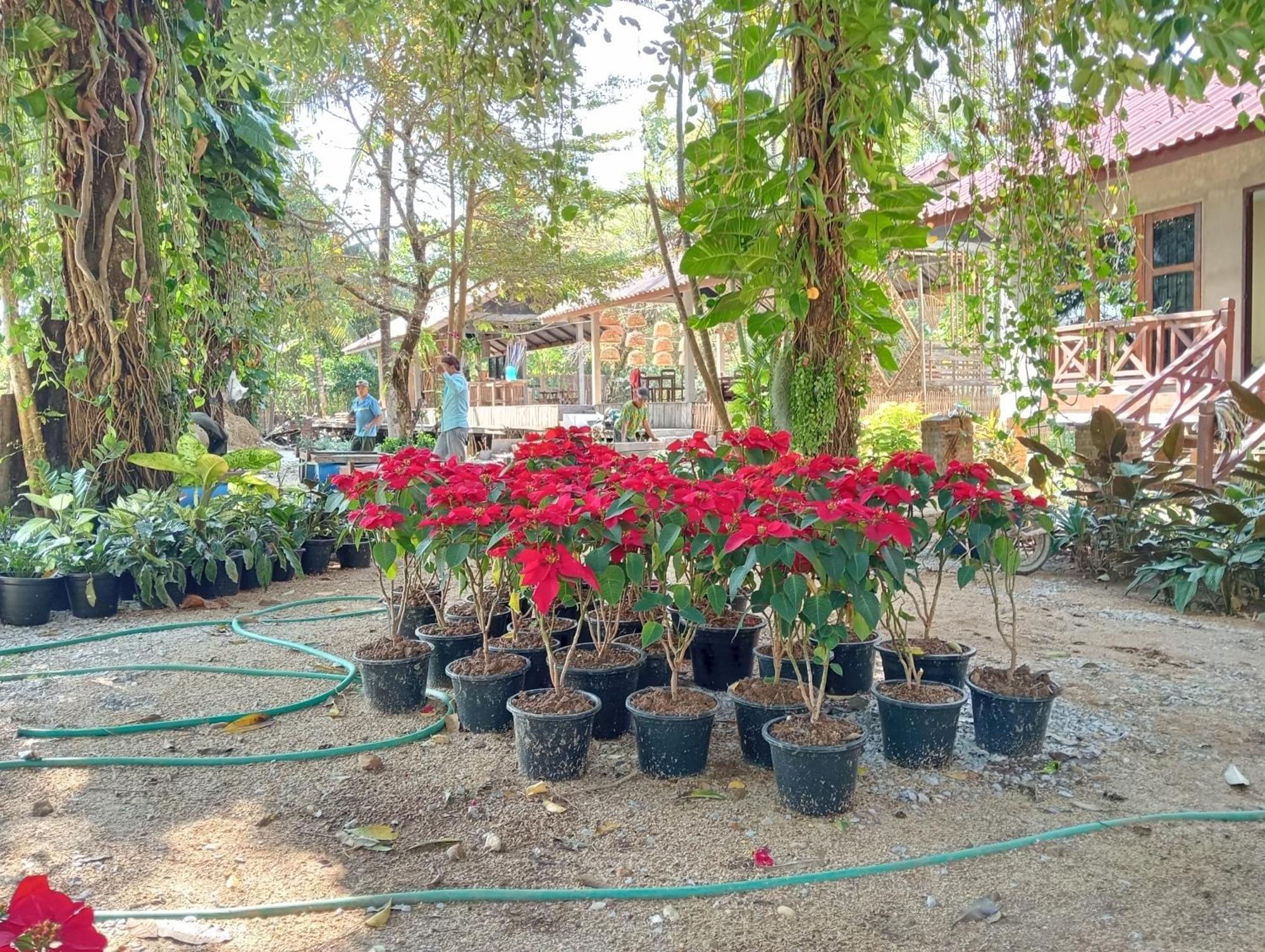 Vangvieng Ruby'Homestay Vang Vieng Dış mekan fotoğraf